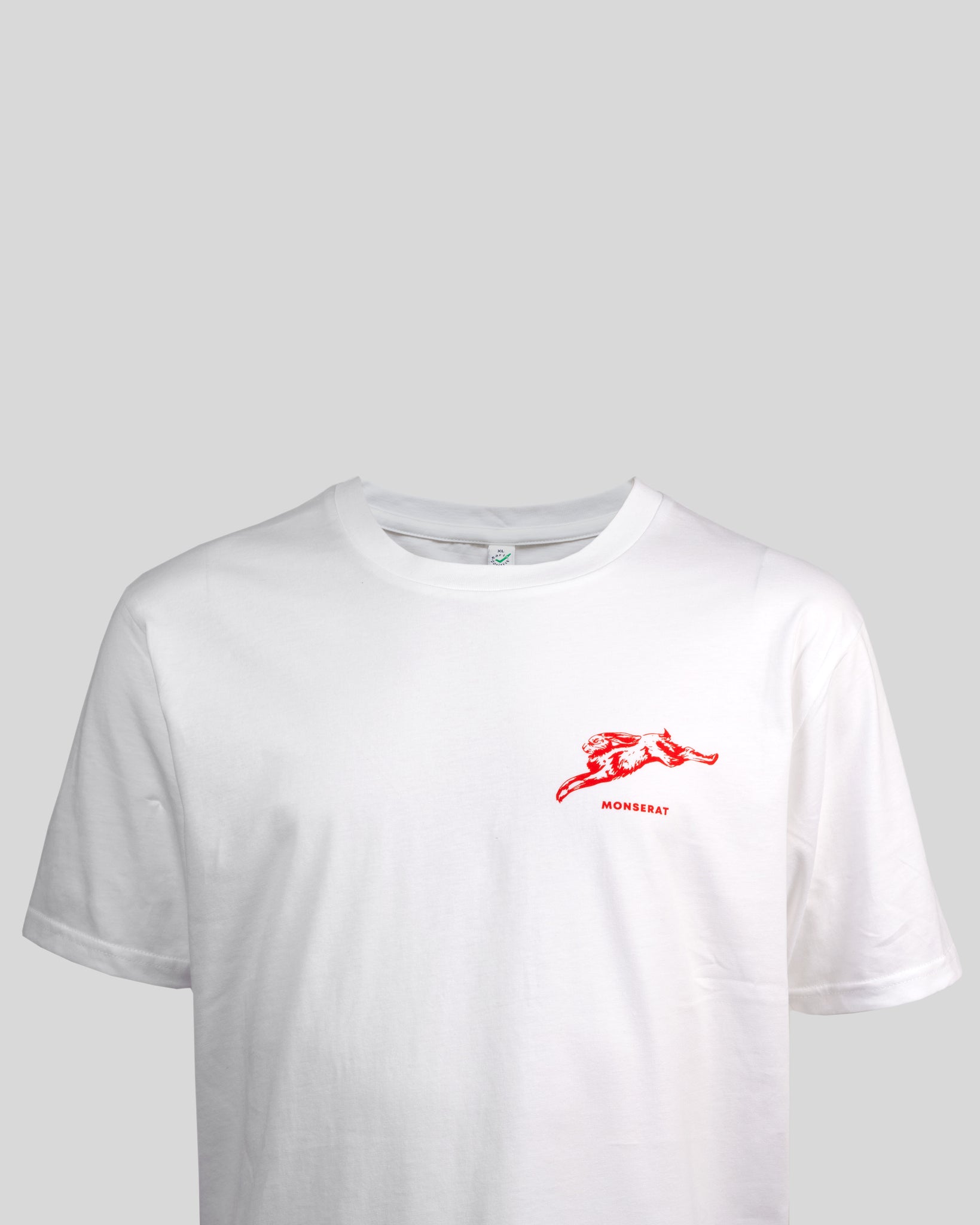 T-Shirt TS13 (organic cotton)